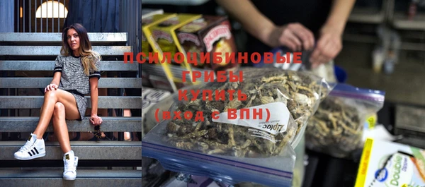 мяу мяу мука Кулебаки